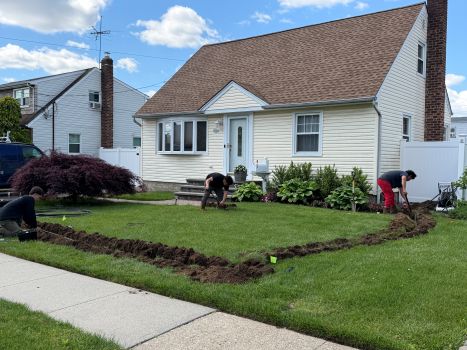 Yard